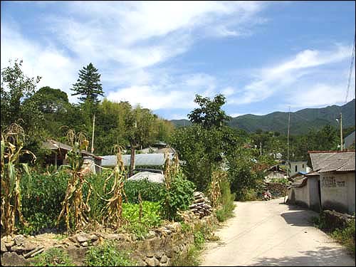 뒤로 보이는 산에 골프장이 들어서려고 합니다. 